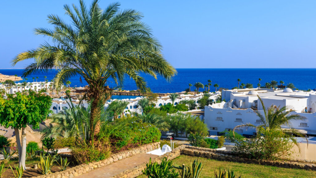Djerba : que découvrir lors d'un séjour sur cette île tunisienne ?